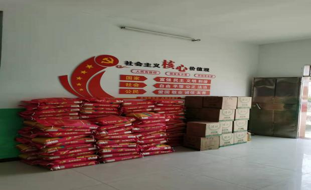 岁寒情暖慰人心